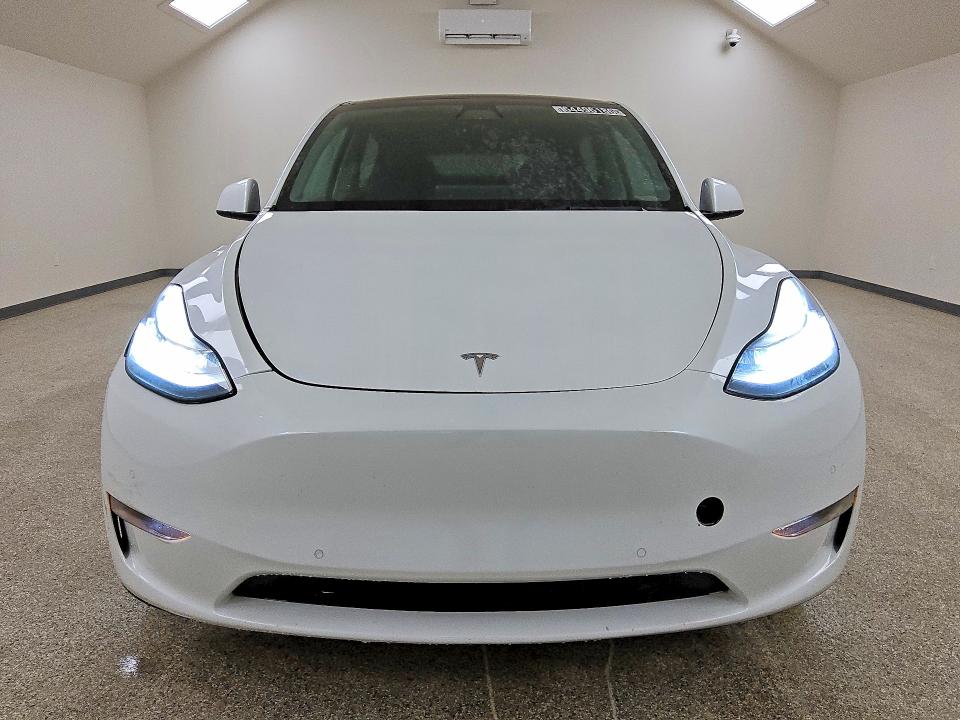 64496186 :رقم المزاد ، 5YJYGDEE8MF123823 vin ، 2021 Tesla Model Y مزاد بيع