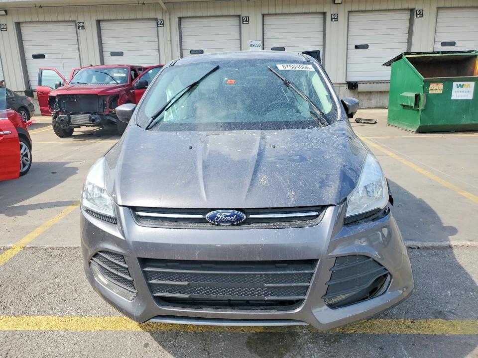 Продаж на аукціоні авто 2014 Ford Escape, vin: 1FMCU0G91EUA12112, номер лоту: 67504066