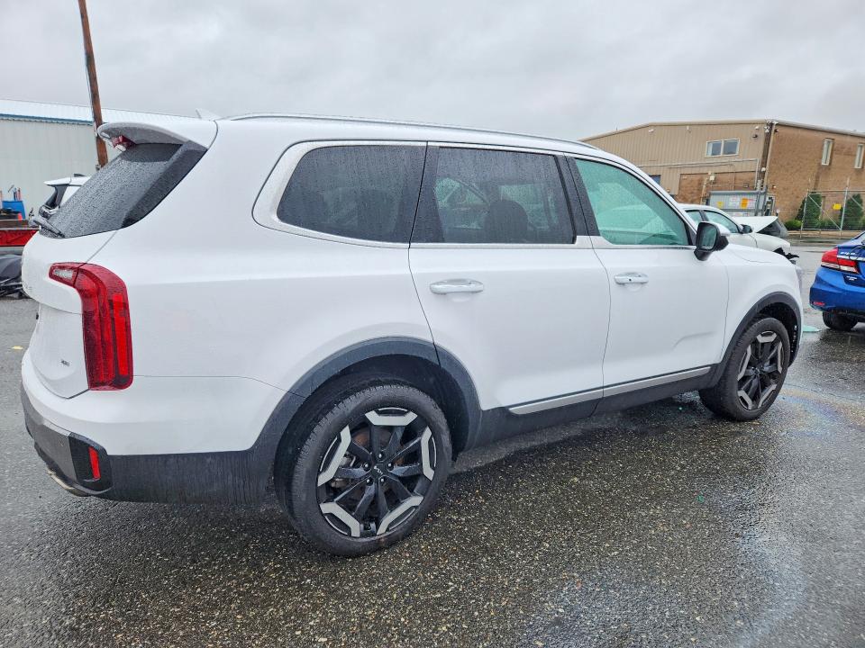 2025 Kia Telluride მანქანა იყიდება აუქციონზე, vin: 5XYP6DGC6SG688300, აუქციონის ნომერი: 69580486
