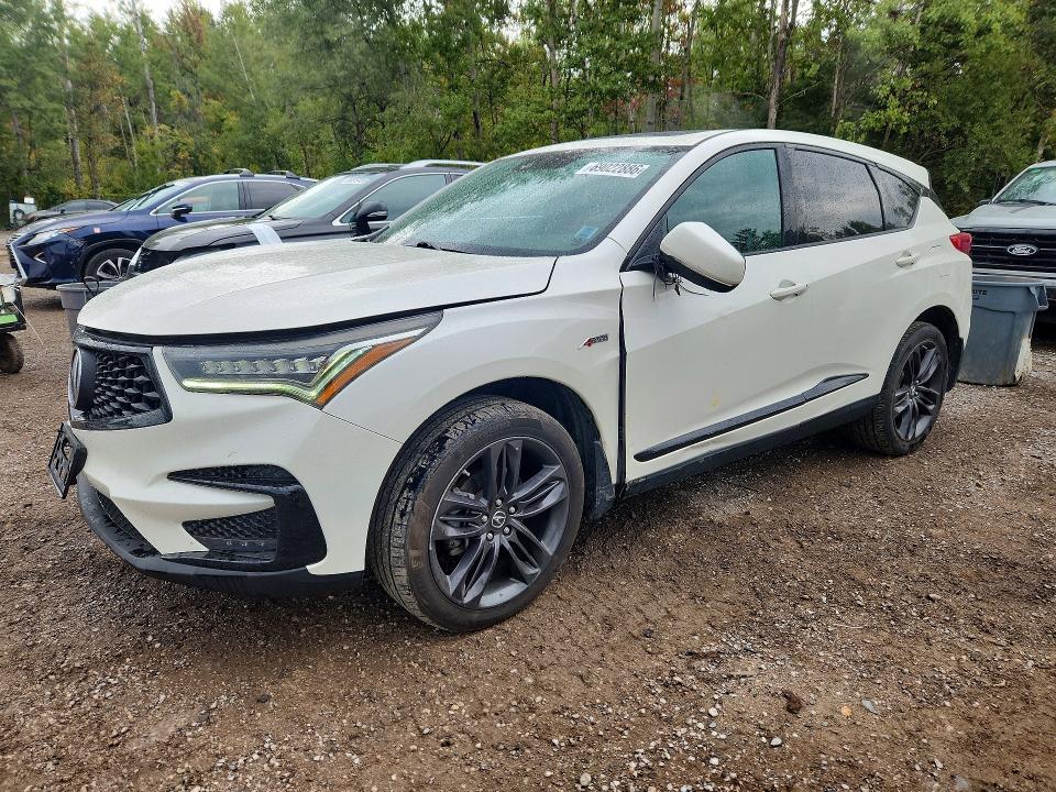 69022886 :رقم المزاد ، 5J8TC2H63KL808113 vin ، 2019 Acura Rdx مزاد بيع