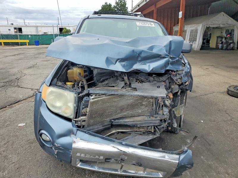 71297516 :رقم المزاد ، 1FMCU0EG9AKD33192 vin ، 2010 Ford Escape مزاد بيع