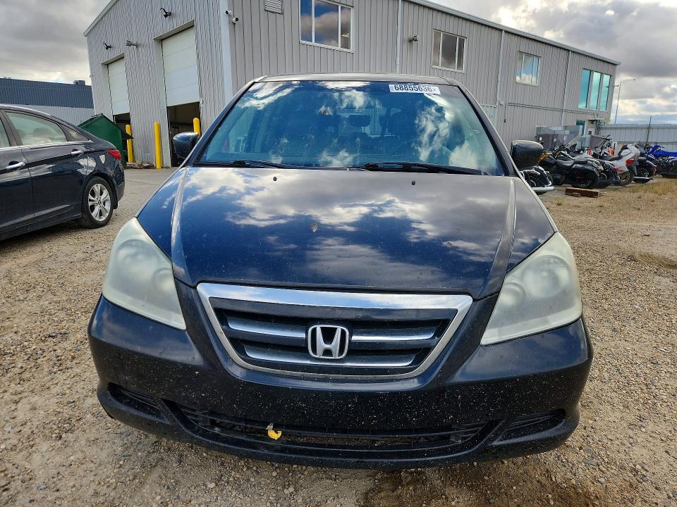 68855636 :رقم المزاد ، 5FNRL38675B507687         vin ، 2005 Honda Odyssey مزاد بيع