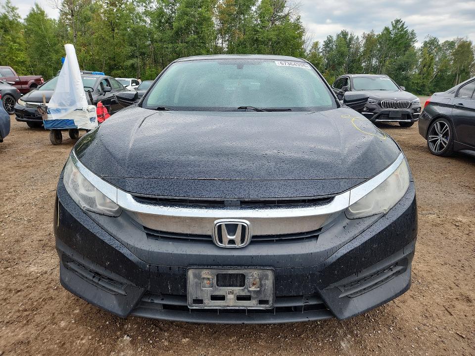 67364996 :رقم المزاد ، 2HGFC2F50HH014831 vin ، 2017 Honda Civic مزاد بيع