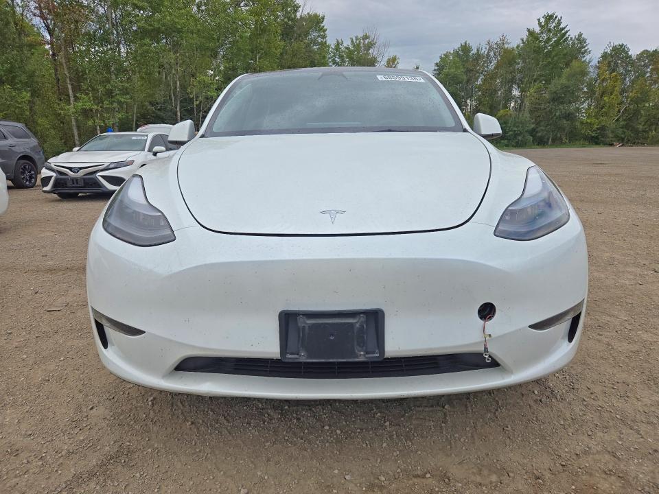 Продажа на аукционе авто 2023 Tesla Model Y, vin: 7SAYGDEE1PF779238, номер лота: 68599136