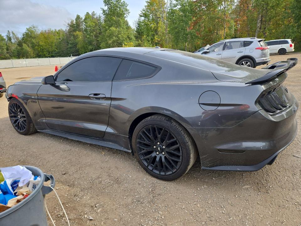 Продаж на аукціоні авто 2016 Ford Mustang, vin: 1FA6P8CF6G5300682, номер лоту: 68204356