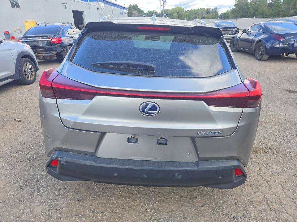 64950556 :رقم المزاد ، JTHU9JBH8K2004383 vin ، 2019 Lexus Ux مزاد بيع