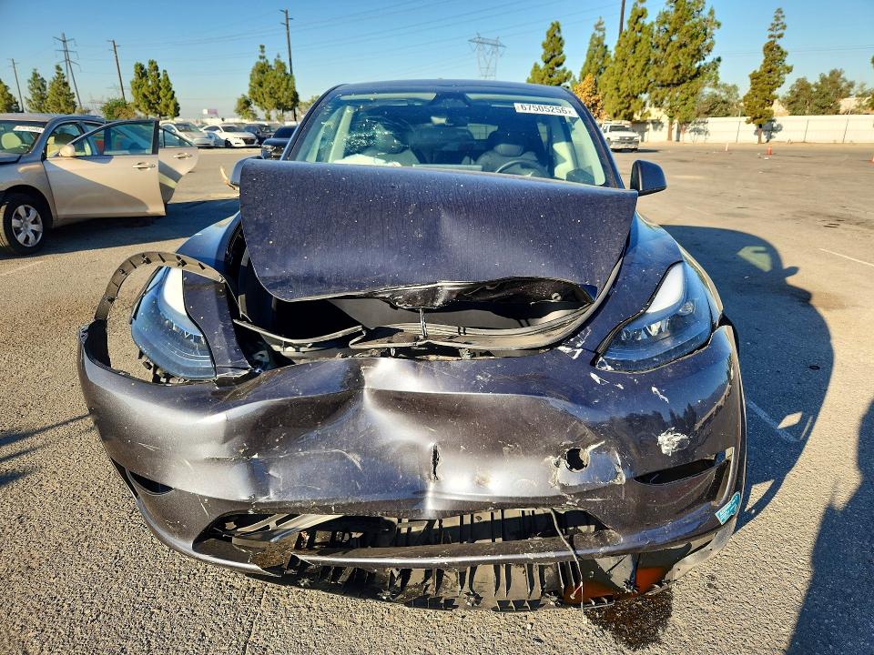 Продаж на аукціоні авто 2025 Tesla Model Y, vin: 7SAYGDEDXSA367042, номер лоту: 67505256