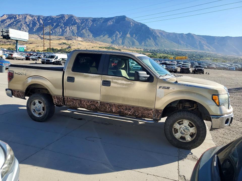 70354696 :رقم المزاد ، 1FTFW1EF7DFA06425 vin ، 2013 Ford F150 مزاد بيع