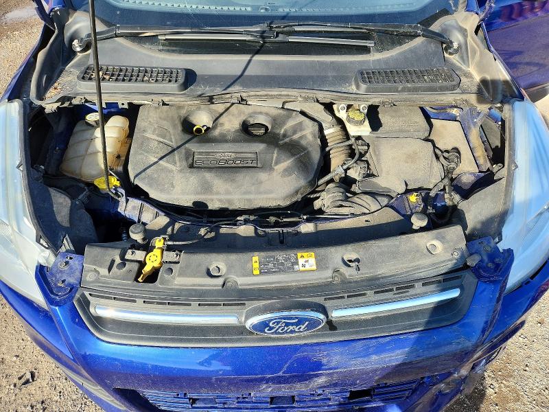 Продаж на аукціоні авто 2013 Ford Escape, vin: 1FMCU0G99DUA76087, номер лоту: 66696566