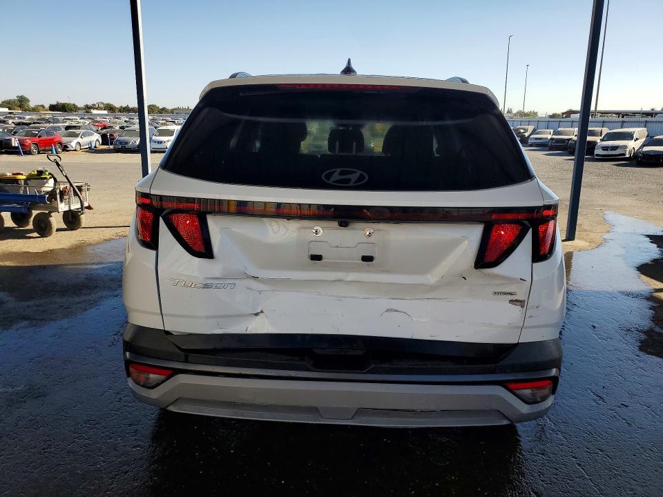 Aukcja sprzedaży 2025 Hyundai Tucson, vin: 5NMJBCDEXSH561637, numer aukcji: 69810496
