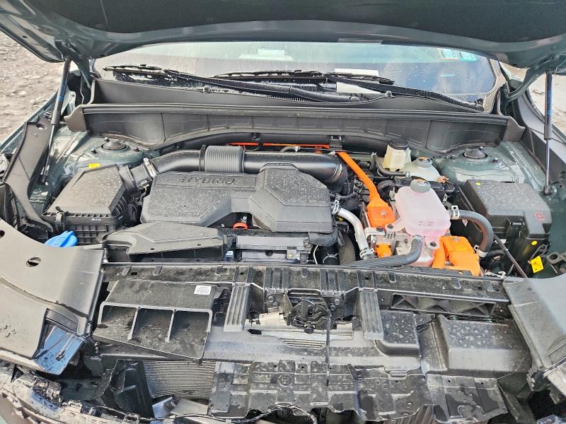 Aukcja sprzedaży 2026 Kia Sorento, vin: KNDRKDJG5T5479415, numer aukcji: 66941866