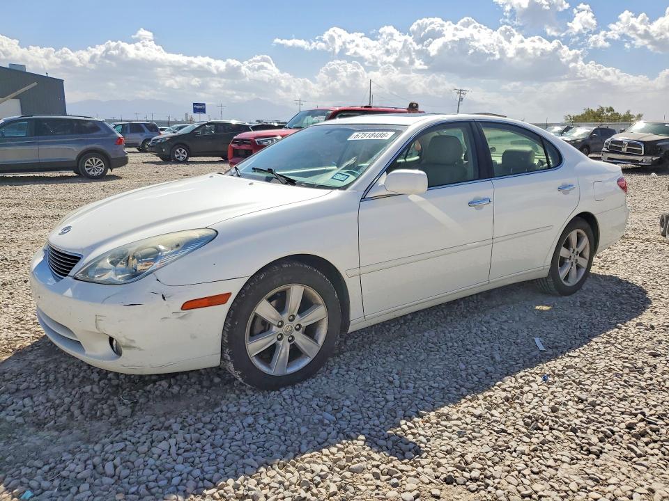 Продаж на аукціоні авто 2005 Lexus Es, vin: JTHBA30G355130920, номер лоту: 67518486