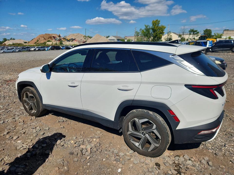 2023 Hyundai Tucson მანქანა იყიდება აუქციონზე, vin: 5NMJECAE8PH197981, აუქციონის ნომერი: 69784846