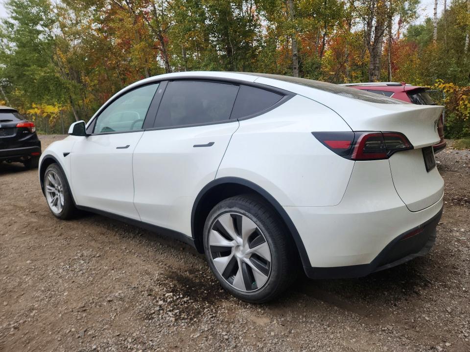 Продажа на аукционе авто 2023 Tesla Model Y, vin: 7SAYGDEE4PF775149, номер лота: 67720636