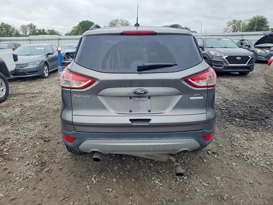 2014 Ford Escape მანქანა იყიდება აუქციონზე, vin: 1FMCU0GX0EUD19625, აუქციონის ნომერი: 69803476