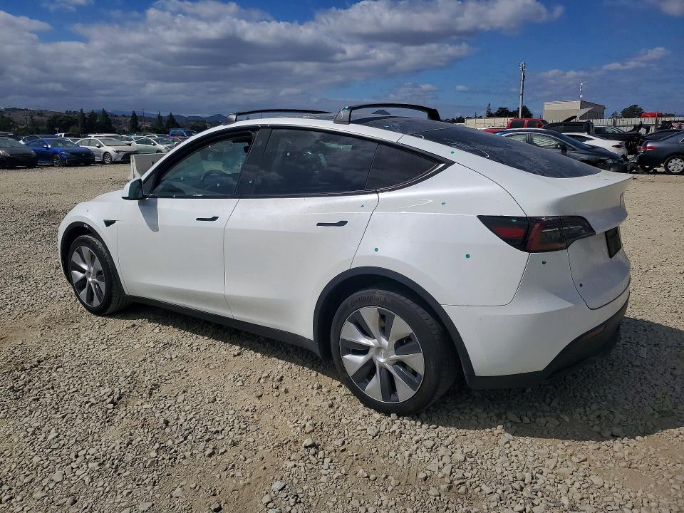 69512516 :رقم المزاد ، 7SAYGDEE4PF744256 vin ، 2023 Tesla Model Y مزاد بيع