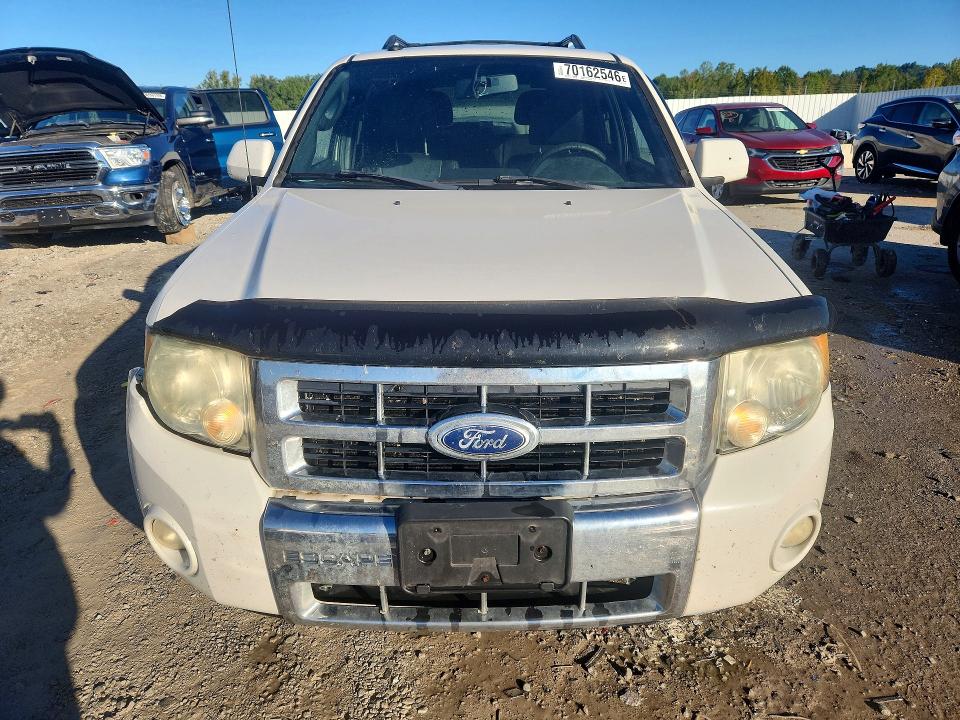 Продажа на аукционе авто 2010 Ford Escape, vin: 1FMCU0E71AKC71397, номер лота: 70162546