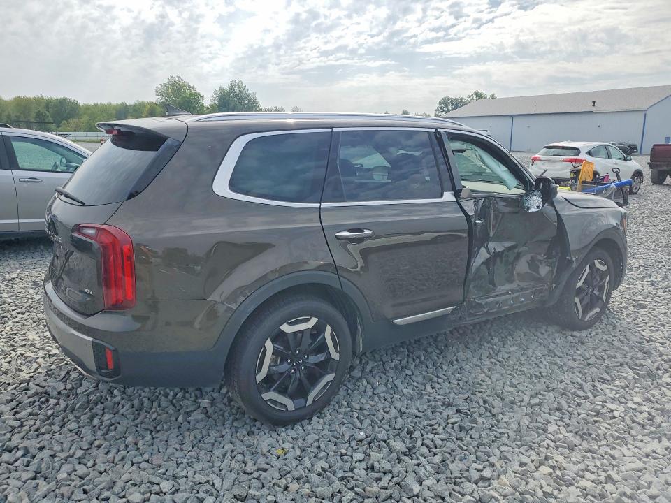 Продаж на аукціоні авто 2025 Kia Telluride, vin: 5XYP6DGC8SG625344, номер лоту: 67432496