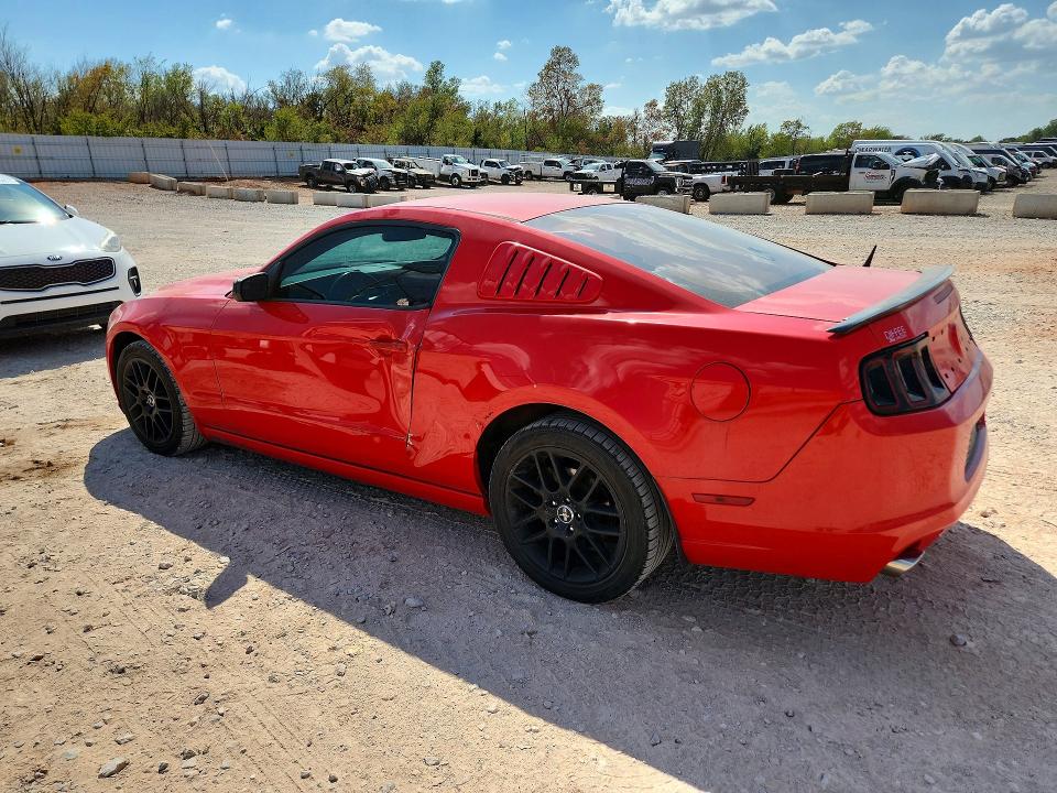Продаж на аукціоні авто 2014 Ford Mustang, vin: 1ZVBP8AM0E5228737, номер лоту: 67329296