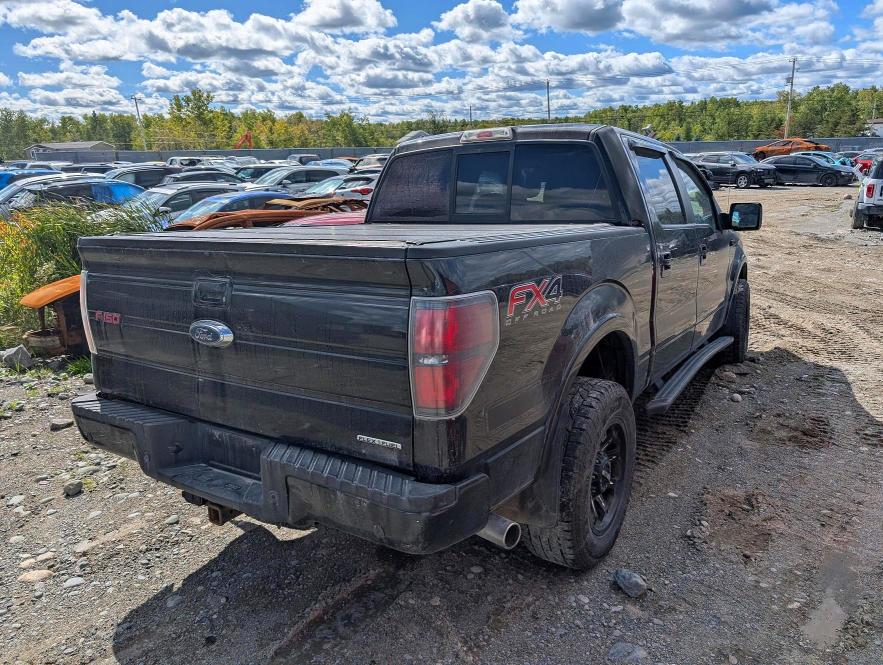 67970766 :رقم المزاد ، 1FTFW1EF3DFD20315 vin ، 2013 Ford F150 مزاد بيع
