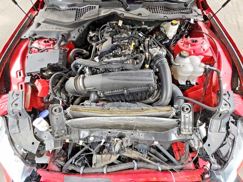 Продажа на аукционе авто 2024 Ford Mustang, vin: 1FA6P8TH5R5107170, номер лота: 66488016