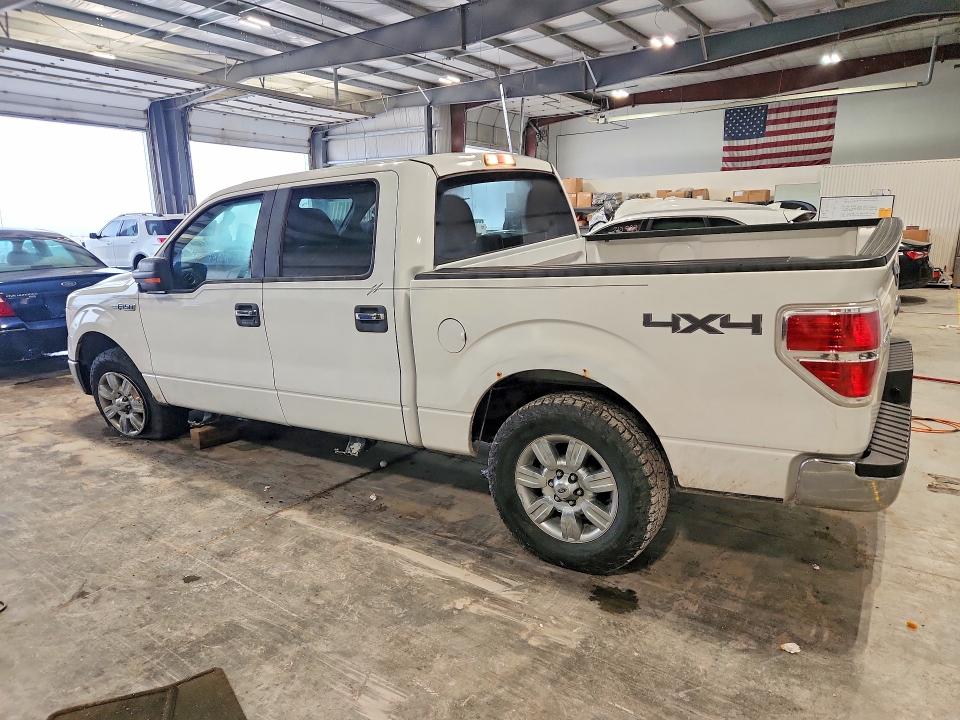 Продаж на аукціоні авто 2010 Ford F150, vin: 1FTFW1EV1AKA19231, номер лоту: 69184746