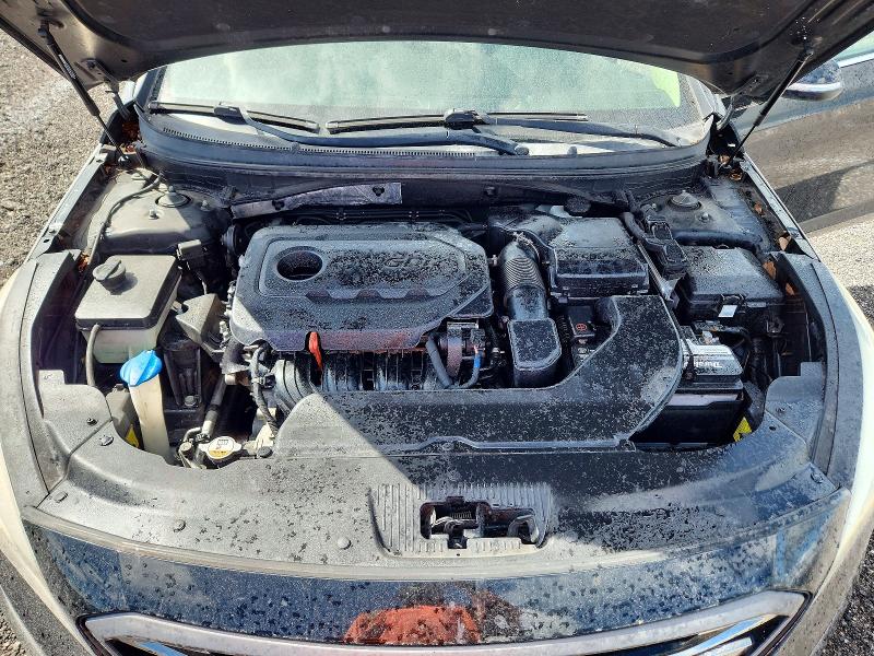 Aukcja sprzedaży 2017 Hyundai Sonata, vin: 5NPE34AF0HH591369, numer aukcji: 67318776