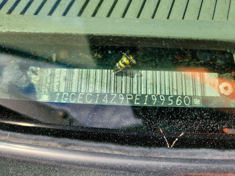 1993 Chevrolet Gmt-400 მანქანა იყიდება აუქციონზე, vin: 1GCEC14Z9PE199560, აუქციონის ნომერი: 70639466