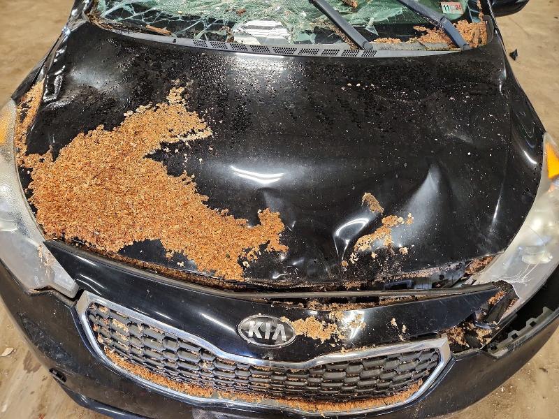 69249296 :رقم المزاد ، KNAFX4A82E5157599 vin ، 2014 Kia Forte مزاد بيع