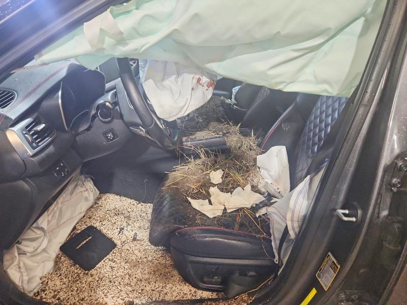 Aukcja sprzedaży 2019 Genesis G70, vin: KMTG34LE5KU031729, numer aukcji: 68290986