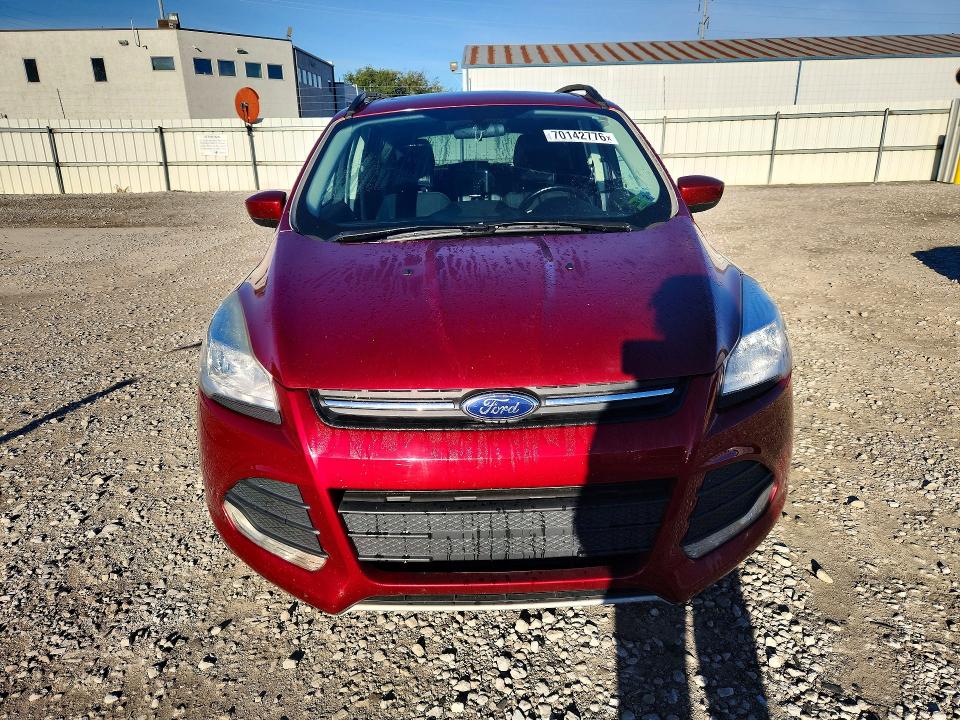 Продаж на аукціоні авто 2014 Ford Escape, vin: 1FMCU9GX6EUE36601, номер лоту: 70142776