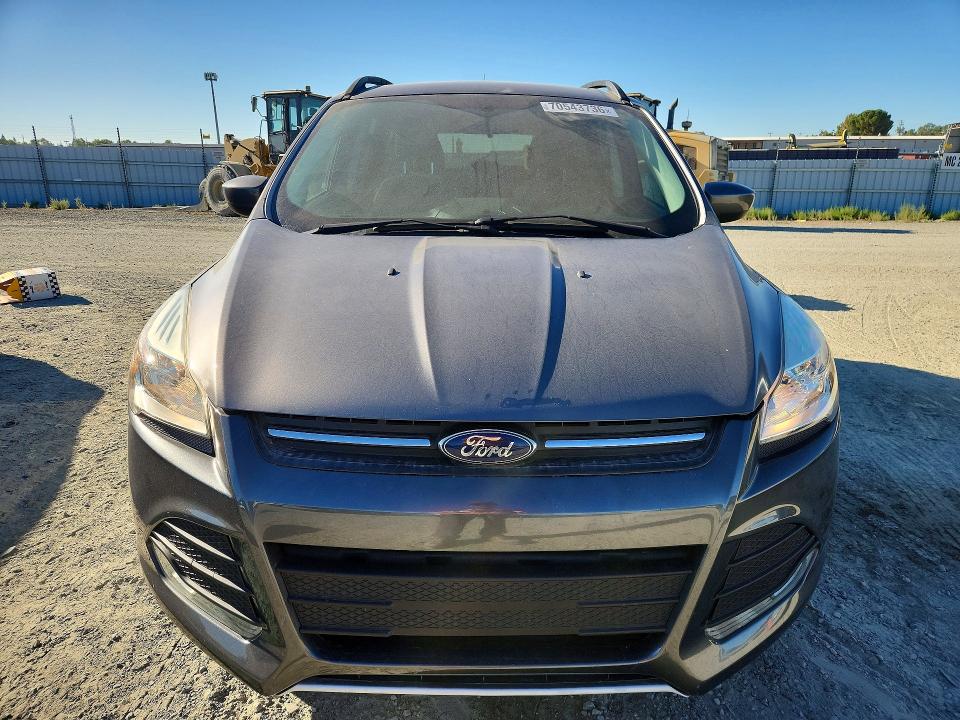 2014 Ford Escape მანქანა იყიდება აუქციონზე, vin: 1FMCU0GX0EUB09560, აუქციონის ნომერი: 70543736