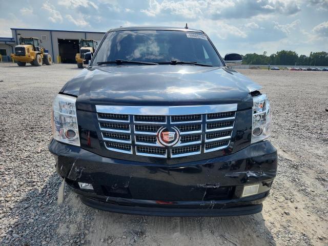 Продаж на аукціоні авто 2009 Cadillac Escalade, vin: 1GYFC43579R158774, номер лоту: 69605746