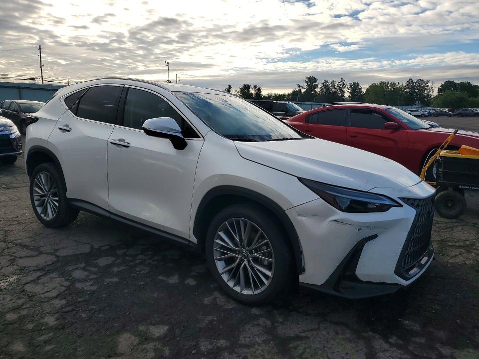 Auction sale of the 2025 Lexus Nx 350h, vin: JTJGKCEZ5S2050091, lot number: 68921176