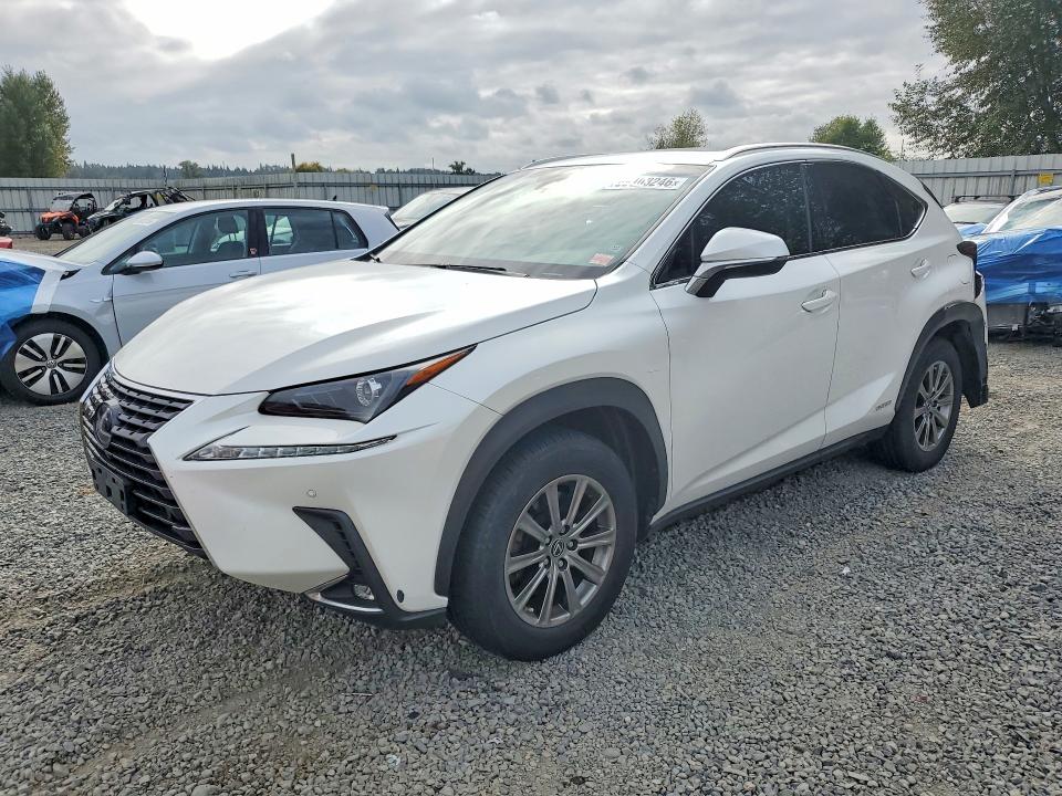 Продаж на аукціоні авто 2019 Lexus Nx, vin: JTJBJRBZ6K2109606, номер лоту: 68103246