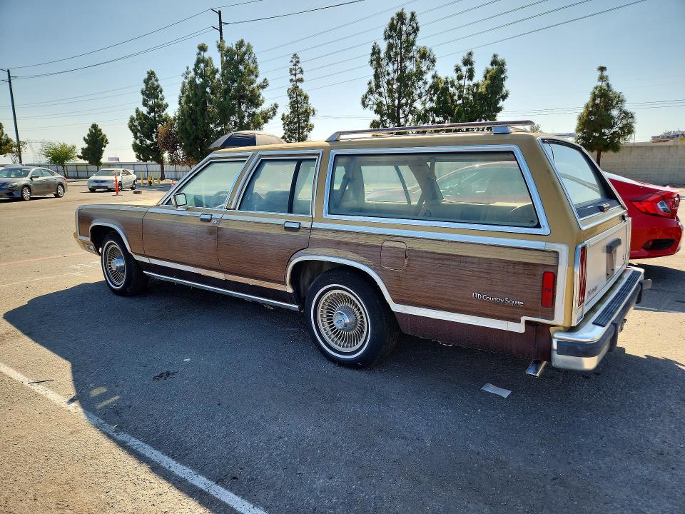 Продаж на аукціоні авто 1991 Ford Crown Victoria, vin: 2FACP79FXMX149215, номер лоту: 69958646