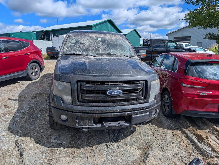 67970766 :رقم المزاد ، 1FTFW1EF3DFD20315 vin ، 2013 Ford F150 مزاد بيع