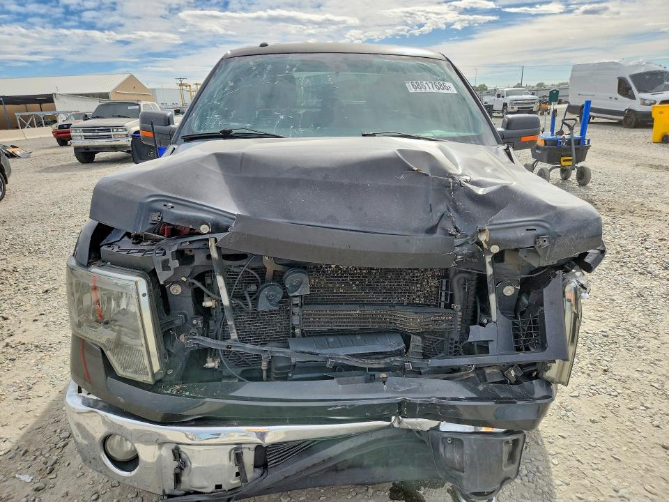 68617686 :رقم المزاد ، 1FTFX1ET0DKF60013 vin ، 2013 Ford F150 مزاد بيع