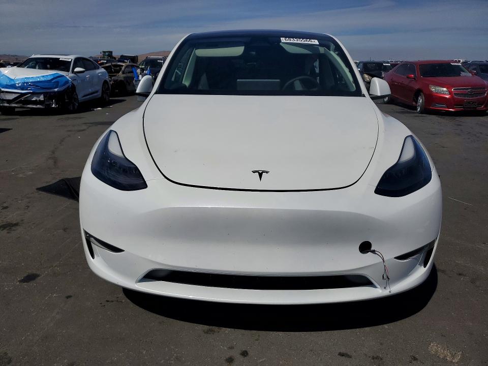 Продажа на аукционе авто 2024 Tesla Model Y, vin: 7SAYGDEE4RF123280, номер лота: 68335566