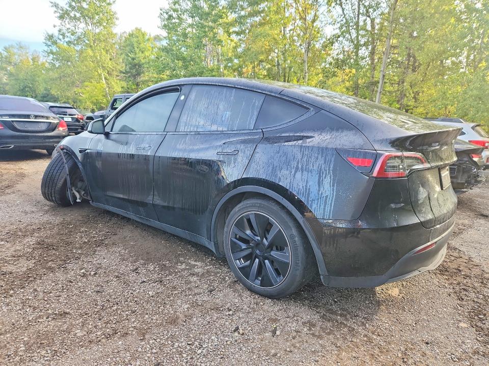 Aukcja sprzedaży 2024 Tesla Model Y, vin: 7SAYGDED4RF993649, numer aukcji: 66320606