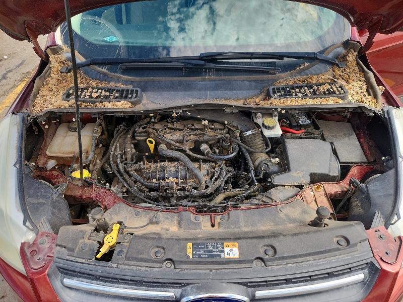 Продаж на аукціоні авто 2014 Ford Escape, vin: 1FMCU0GXXEUB29623, номер лоту: 67892226