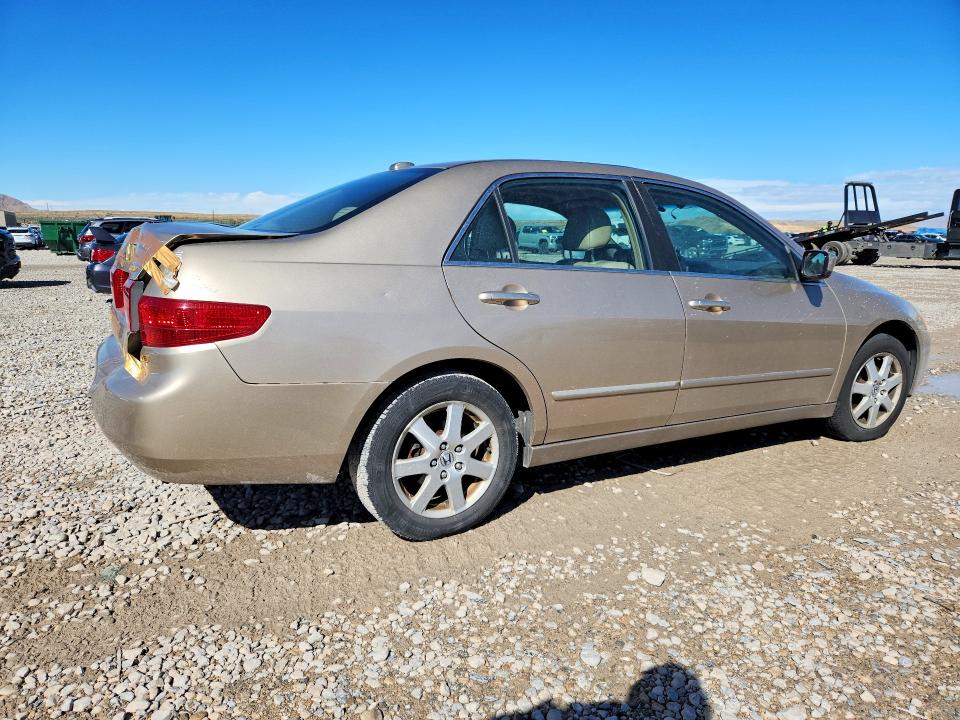 Продаж на аукціоні авто 2005 Honda Accord, vin: 1HGCM66545A031911, номер лоту: 69913996