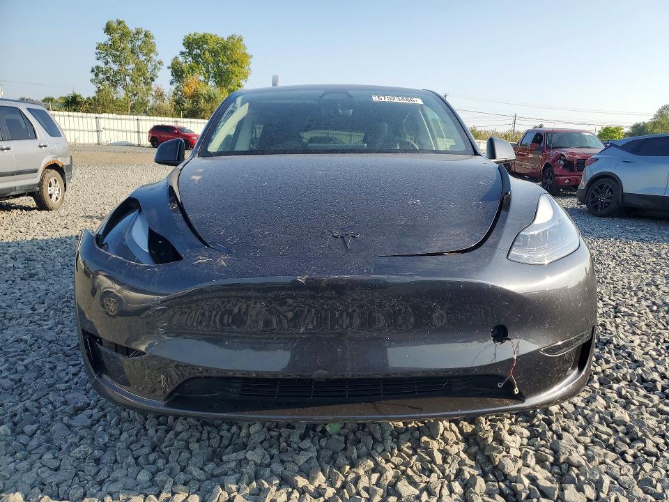 Продажа на аукционе авто 2025 Tesla Model Y, vin: 7SAYGDED0SF257605, номер лота: 67523486