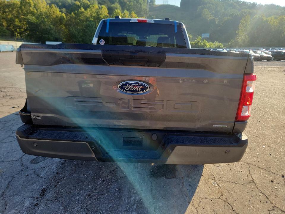 Продаж на аукціоні авто 2023 Ford F150, vin: 1FTEX1EP0PKG09312, номер лоту: 66944226