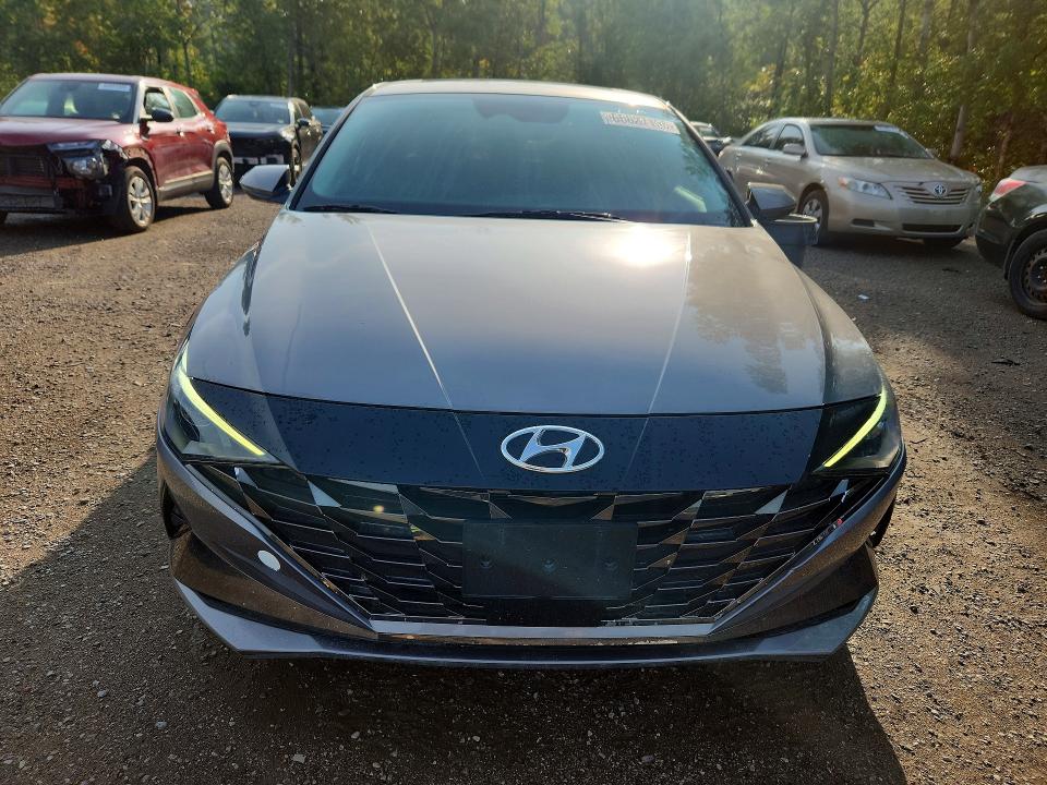 Продаж на аукціоні авто 2023 Hyundai Elantra, vin: KMHLN4AJXPU054014, номер лоту: 65827156