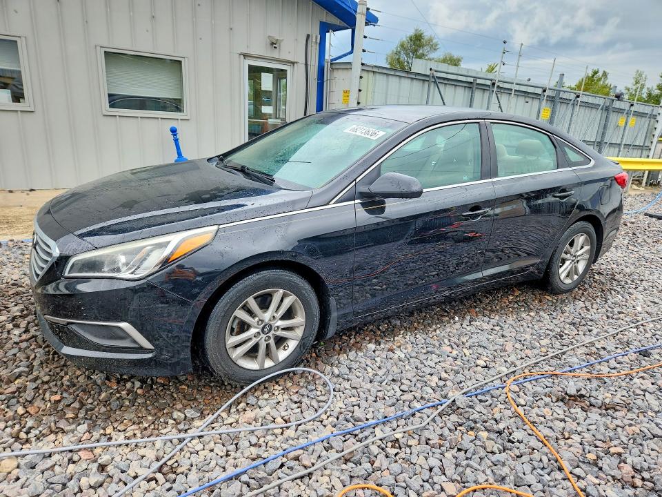 Продаж на аукціоні авто 2016 Hyundai Sonata, vin: 5NPE24AFXGH404902, номер лоту: 68213636