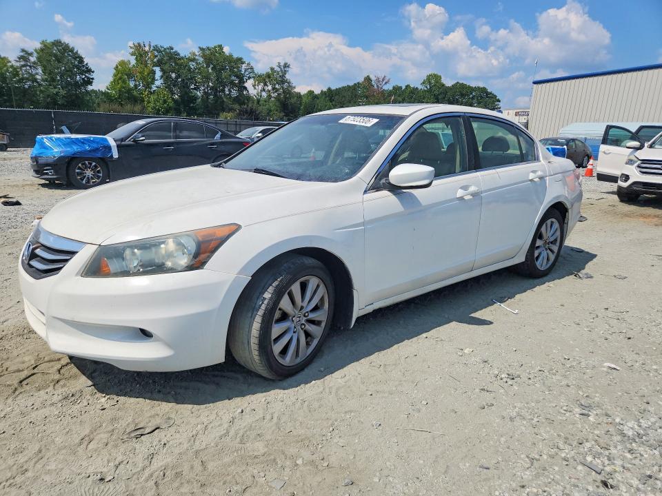 Auction sale of the 2011 Honda Accord, vin: 1HGCP3F89BA010175, lot number: 67923506