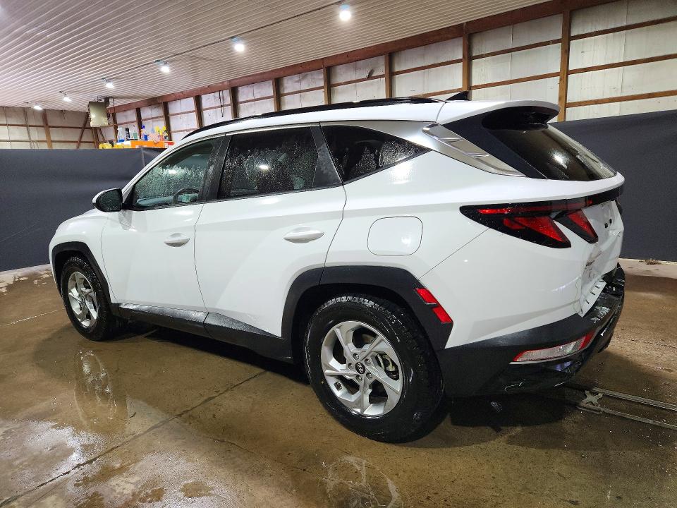 Продаж на аукціоні авто 2024 Hyundai Tucson, vin: 5NMJB3DE3RH421732, номер лоту: 70959846