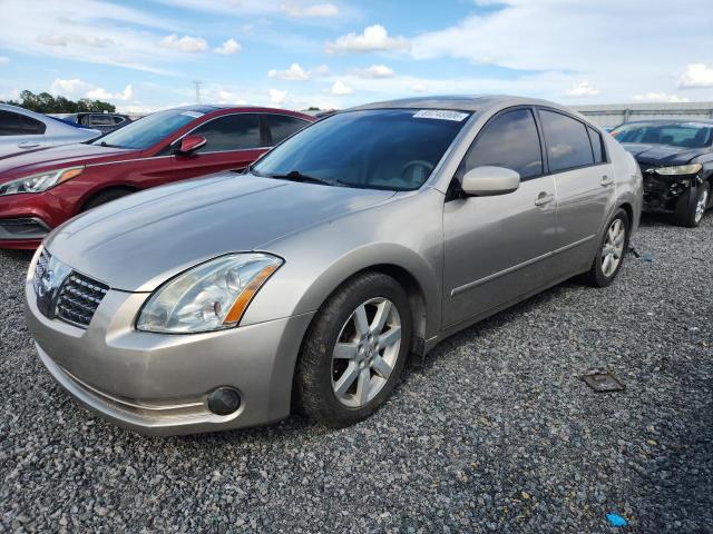 2005 Nissan Maxima მანქანა იყიდება აუქციონზე, vin: 1N4BA41E25C837092, აუქციონის ნომერი: 69745906