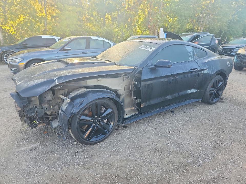 65640536 :رقم المزاد ، 1FA6P8TH5G5319807 vin ، 2016 Ford Mustang مزاد بيع